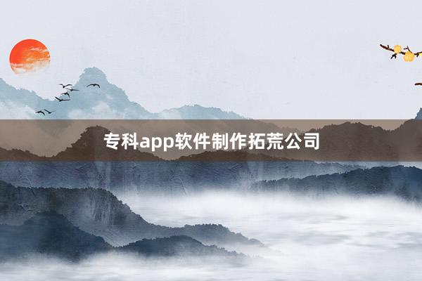 专科app软件制作拓荒公司