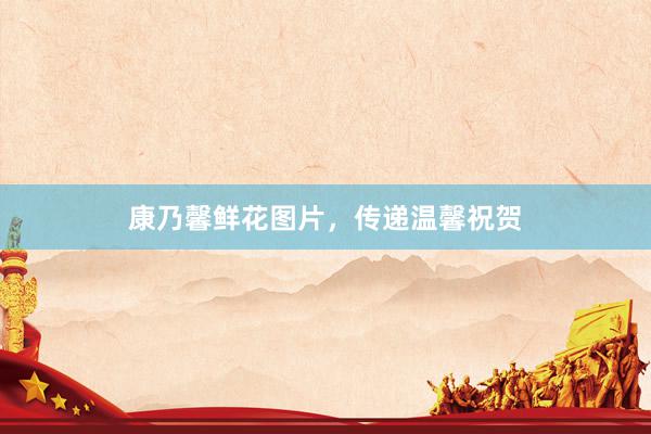 康乃馨鲜花图片，传递温馨祝贺