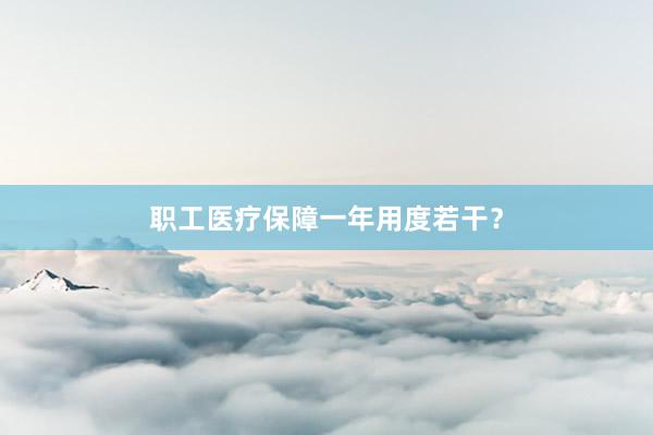 职工医疗保障一年用度若干？