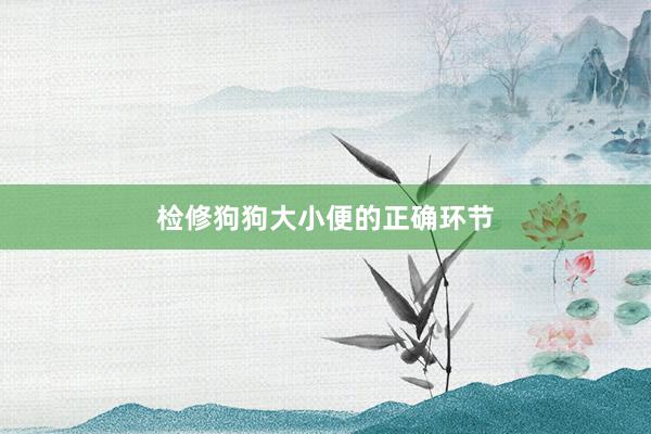 检修狗狗大小便的正确环节