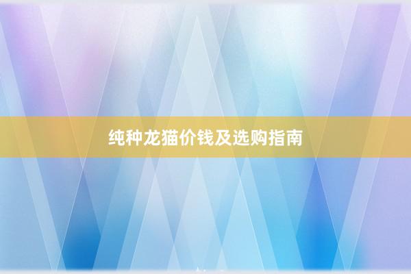 纯种龙猫价钱及选购指南